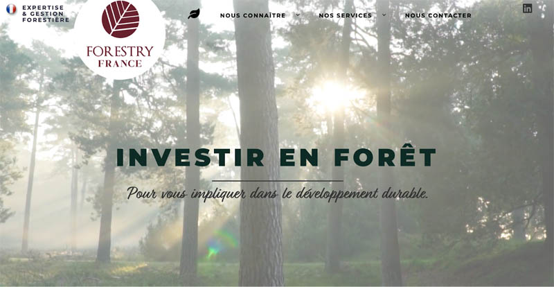 L’achat direct de parcelles forestières
